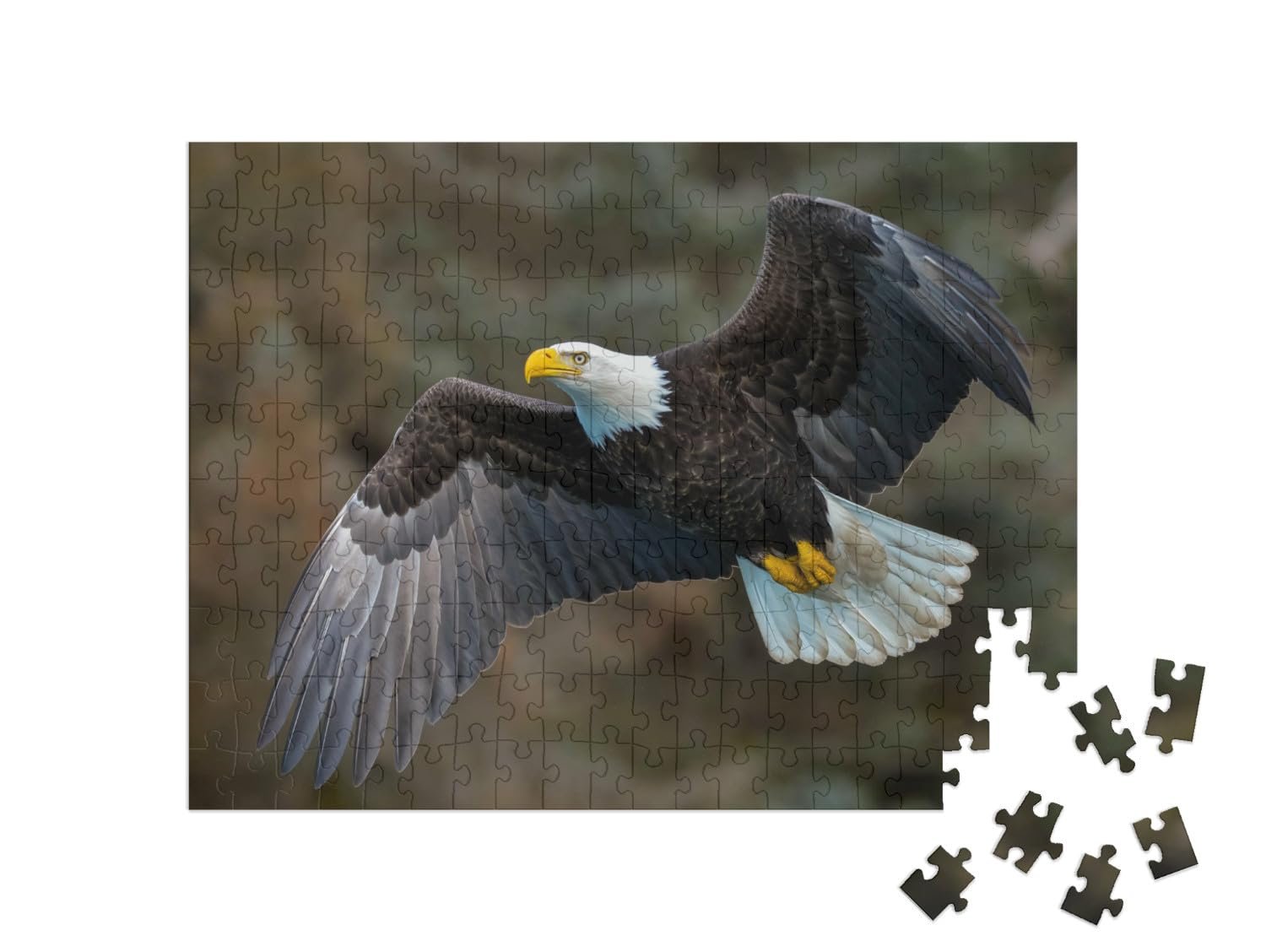 Пазл puzzleYOU Eagles, Animals in Forest & Mountains Bald Eagle Flying on a Mountain Slope, Alaska 200 элементов, фото №2