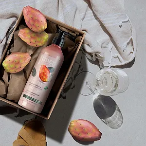 Молочко для тела ITINERA для нормальной и чувствительной кожи с сицилийской опунцией, 97% натуральных ингредиентов, 370 мл, 2 шт synthetic.ua - Фото 1