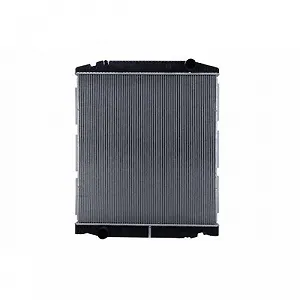 Радиатор охлаждения двигателя HELLA 8MK 366 302-271 для IVECO synthetic.ua - Фото 1