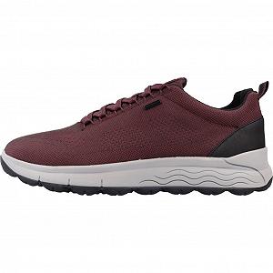 Кроссовки Geox Spherica 4x4 B ABX для мужчин synthetic.ua - Фото 1
