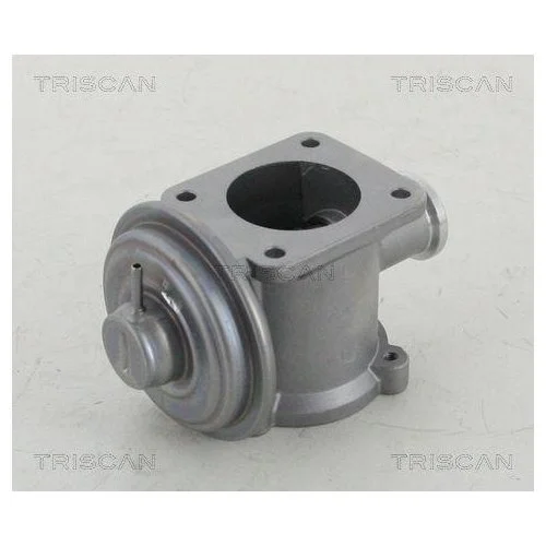 Клапан EGR TRISCAN 8813 11003 для BMW, фото №3