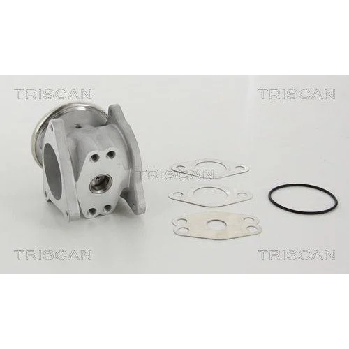 Клапан EGR TRISCAN 8813 29111 для AUDI DODGE MITSUBISHI SEAT SKODA VW HITACHI, фото №3