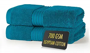 Набір рушників Blue Lagoon із 2 шт єгипетська бавовна 700 GSM Сірий - Фото 1
