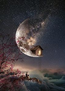 Купить Пазл Schmidt Spiele Natacha Einat Dream Whispers 59904 1000 деталей - Фото 1 Пазл Schmidt Spiele Natacha Einat Dream Whispers 59904 1000 деталей - Фото 1