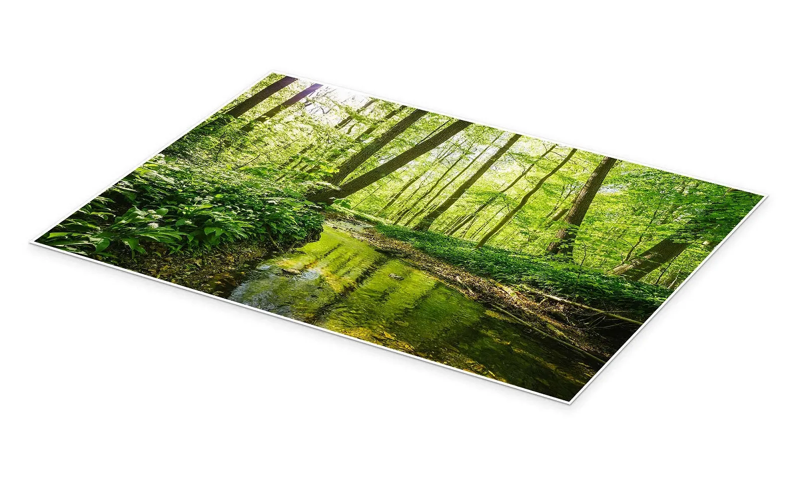 Постер Oliver Henze Fresh Green Forest 90 x 60 см Зеленый, фото №2 Постер Oliver Henze Fresh Green Forest 90 x 60 см Зеленый, фото №2