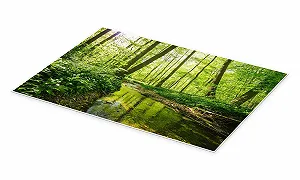 Постер Oliver Henze Fresh Green Forest 90 x 60 см Зеленый synthetic.ua - Фото 1