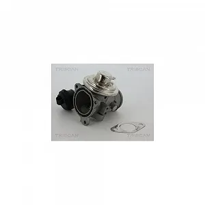 Клапан EGR TRISCAN 8813 29057 для AUDI FORD SEAT SKODA VW HITACHI - Фото 1