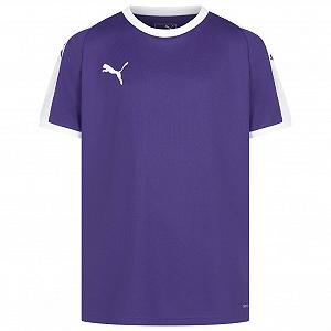 Футболка Pumaiga Jersey M/L - Фото 1