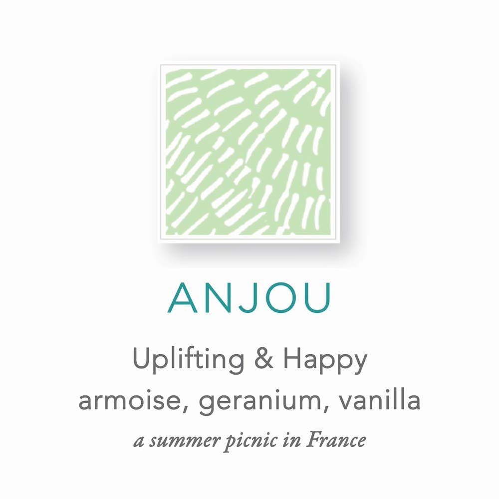 Засіб для миття рук та тіла Zents Ageless Aloe Moisture Anjou з екстрактами фруктів, олією ши та лотосом 300 мл, фото №2 Засіб для миття рук та тіла Zents Ageless Aloe Moisture Anjou з екстрактами фруктів, олією ши та лотосом 300 мл, фото №2