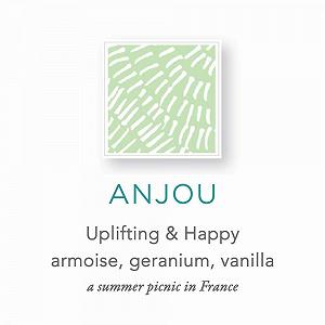 Засіб для миття рук та тіла Zents Ageless Aloe Moisture Anjou з екстрактами фруктів, олією ши та лотосом 300 мл synthetic.ua - Фото 1