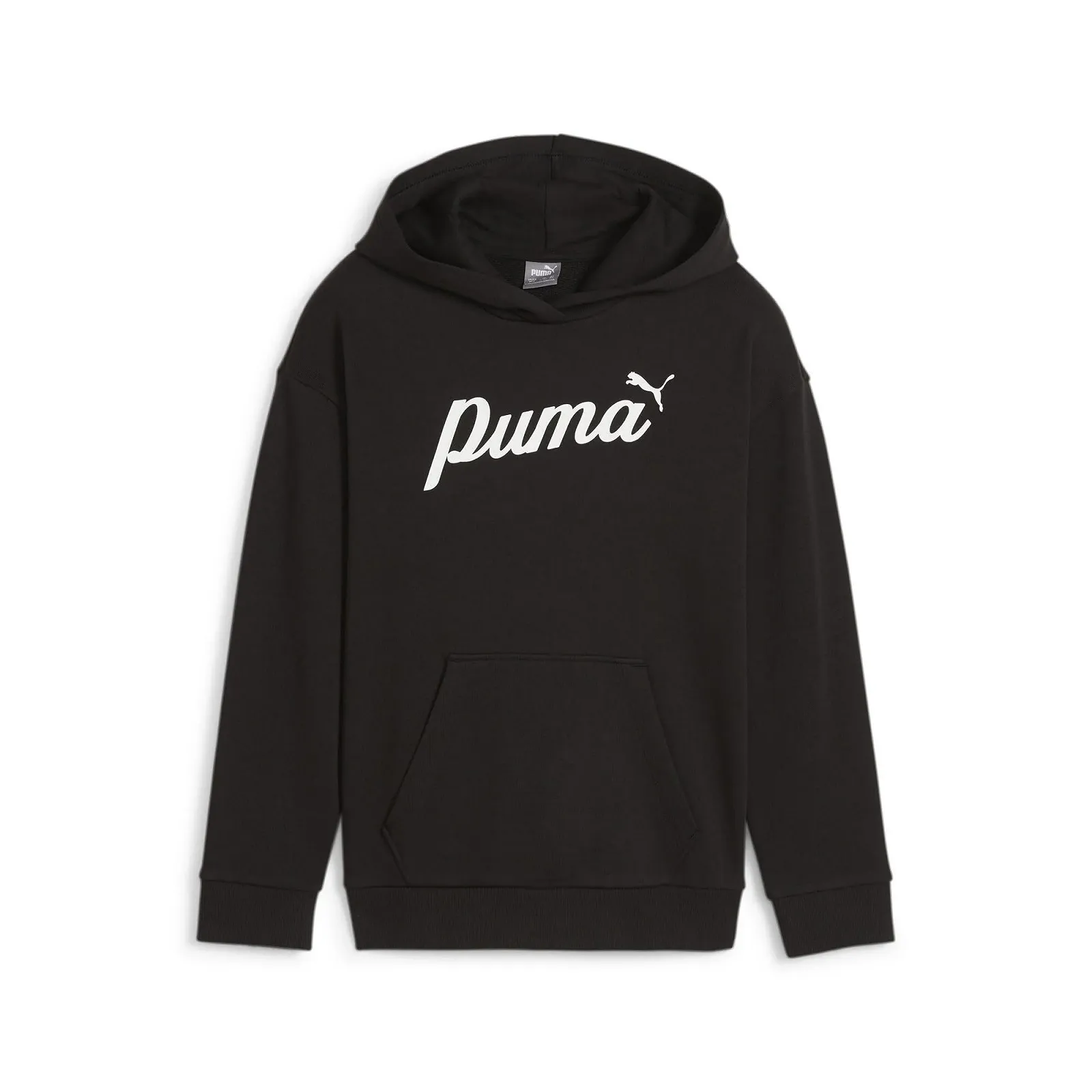 Толстовка PUMA ESS+ Blossom Hoodie G Sweat, фото №1