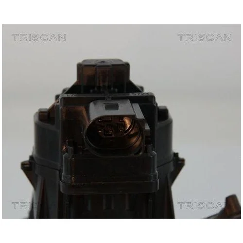 Клапан EGR TRISCAN 8813 15207 для FIAT IVECO, фото №2