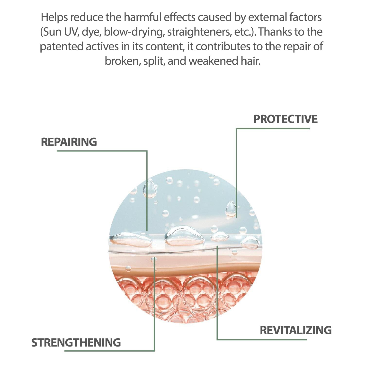 Шампунь Dermobella Anti-Oxidant Repair 300 мл, фото №5