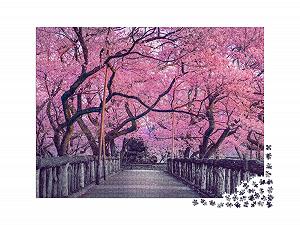 Пазл puzzleYOU Tokyo Jigsaw Puzzle Collection, Cities Worldwide Beautiful Cherry Blossom Over An Old Wooden Bridge, Japan 2000 элементов synthetic.ua - Фото 1