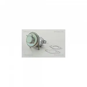 EGR-клапан TRISCAN 8813 15029 для FIAT IVECO - Фото 1