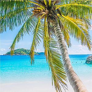 Твердий гель для душу Biolù Solid Coconut 55 г synthetic.ua - Фото 1