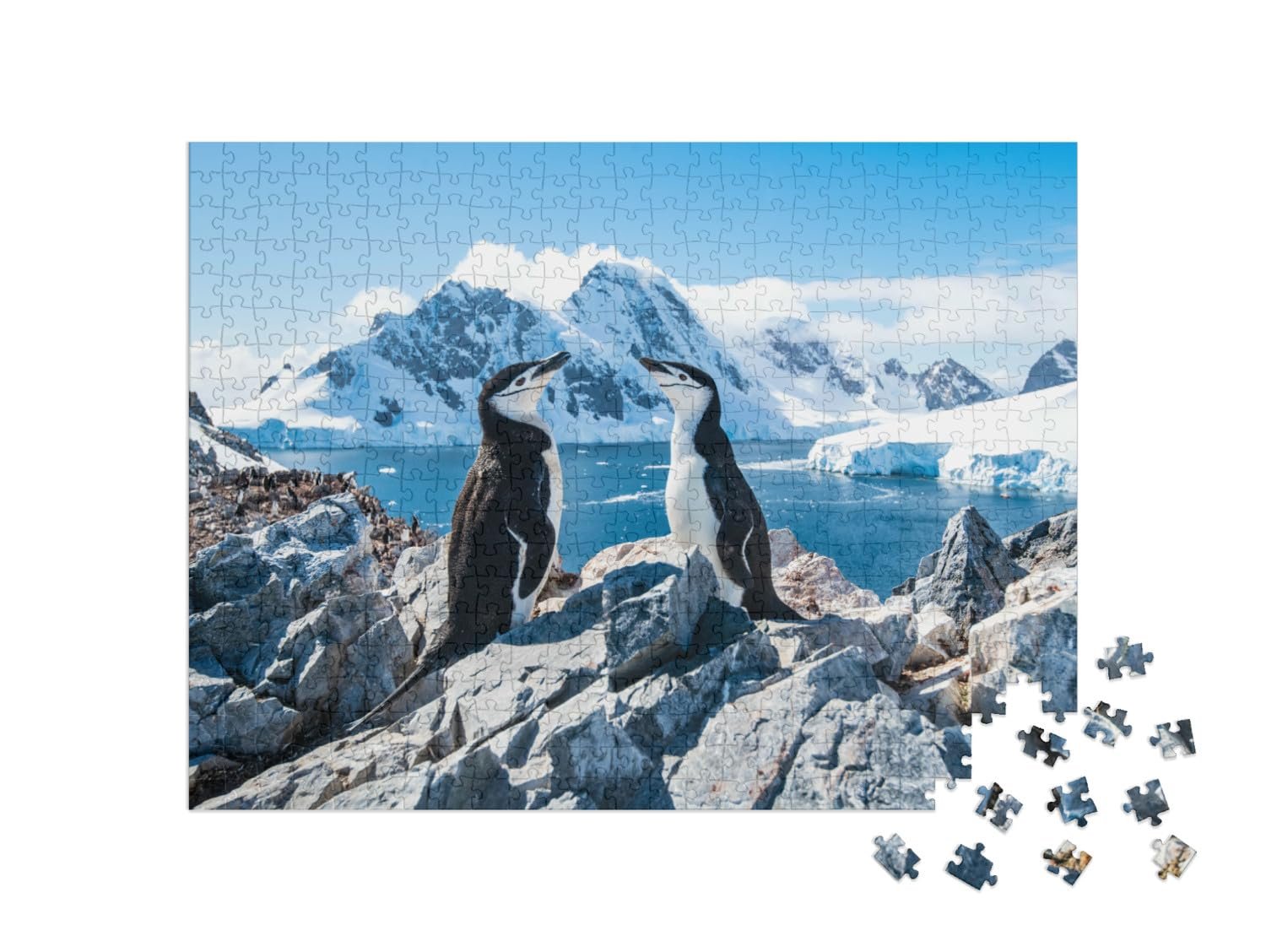Пазл puzzleYOU Penguins, Polar Regions Collection Reins Penguin, Antarctica, January 2019 500 элементов, фото №2