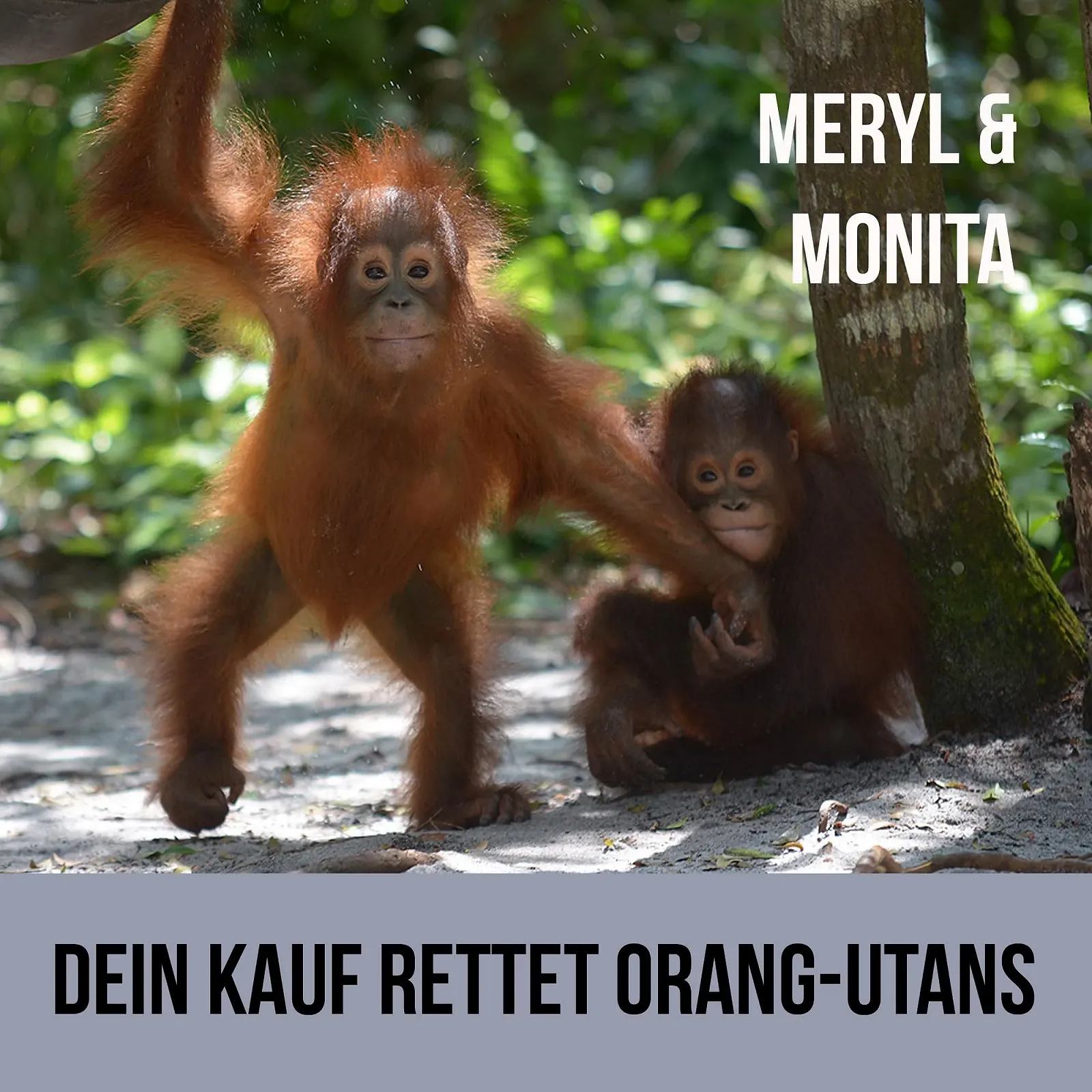 Крем для рук Lavender Orange, 50 мл, фото №3