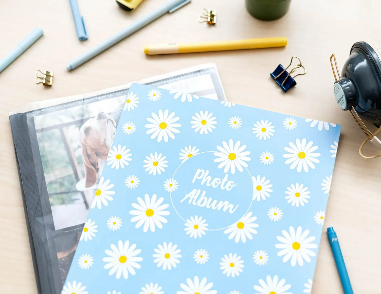 Фотоальбом Grupo Erik Daisy Dreams вставной 13 x 20 см, фото №6 Фотоальбом Grupo Erik Daisy Dreams вставной 13 x 20 см, фото №6