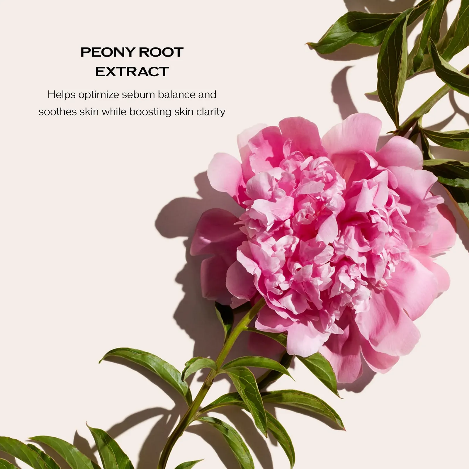 Пінка для глибокого очищення Shiseido для жінок, 125 мл, фото №3 Пінка для глибокого очищення Shiseido для жінок, 125 мл, фото №3