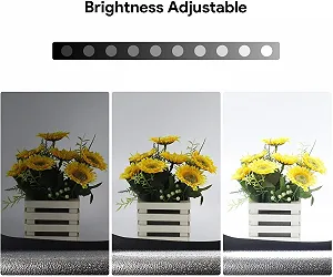 Фотобокс ESSDI PKL-D550 50×50×50см и 4 фона Черный synthetic.ua - Фото 1