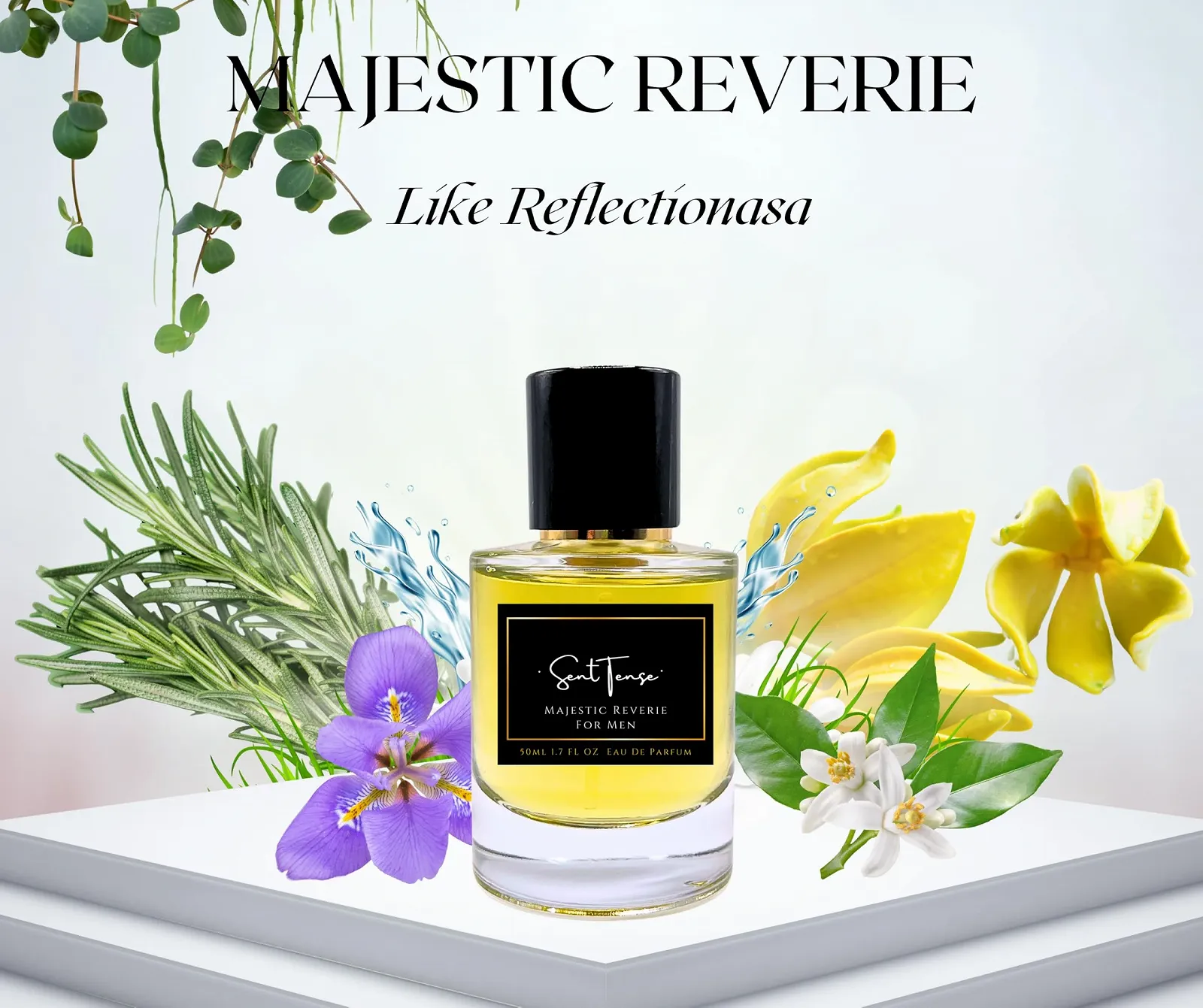 Парфуми Duftzwilling Majestic Reverie Like Reflection для чоловіків, фото №2