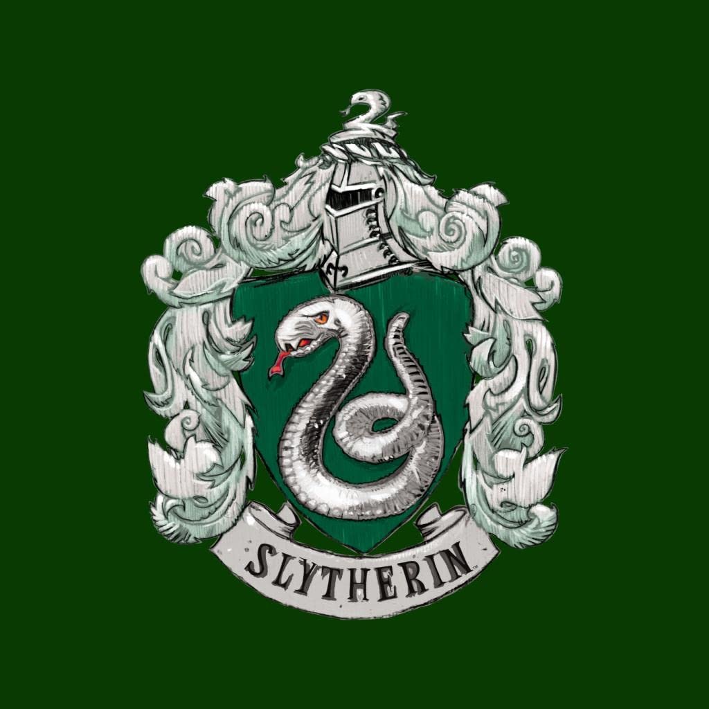 Толстовка Harry Potter Slytherin House Crest для детей, фото №2