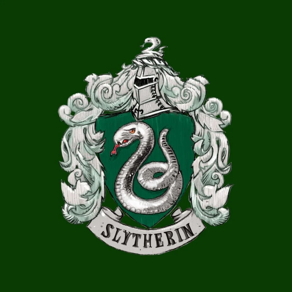 Толстовка Harry Potter Slytherin House Crest для дітей, фото №2