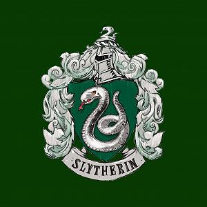 Толстовка Harry Potter Slytherin House Crest для детей synthetic.ua - Фото 1
