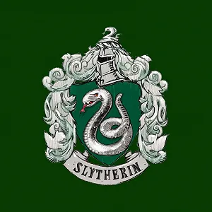 Толстовка Harry Potter Slytherin House Crest для дітей synthetic.ua - Фото 1