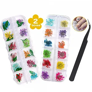 Купити Набір для декору нігтів Dried Flowers 2 Boxes 36 Pieces 3D Resin з вигнутим пінцетом - Фото 1 Набір для декору нігтів Dried Flowers 2 Boxes 36 Pieces 3D Resin з вигнутим пінцетом - Фото 1