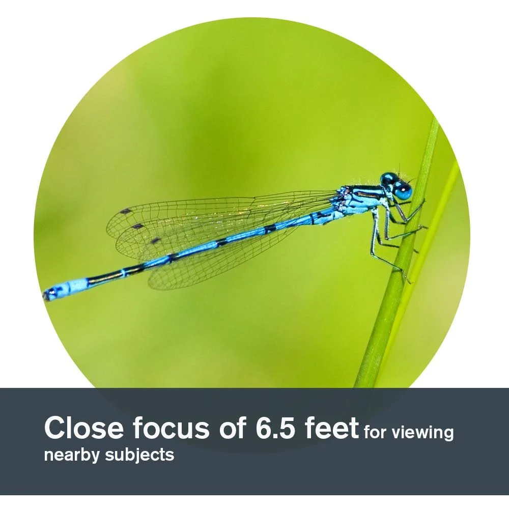 Бінокль Celestron TrailSeeker 71404 8 x 42 мм Чорний, фото №6