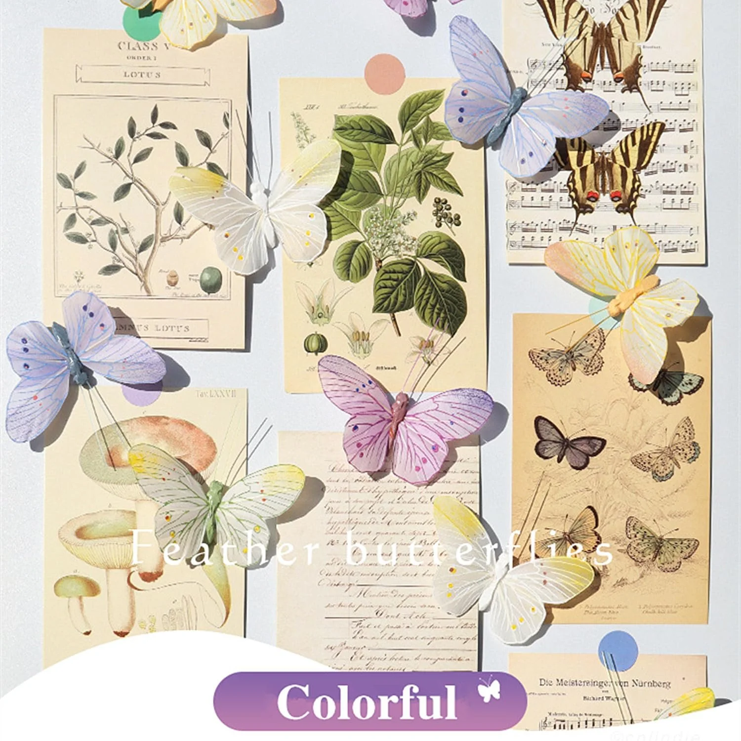 Наклейки для стін Feather Butterfly 3D Набір 6 шт. Кольорові, фото №6 Наклейки для стін Feather Butterfly 3D Набір 6 шт. Кольорові, фото №6