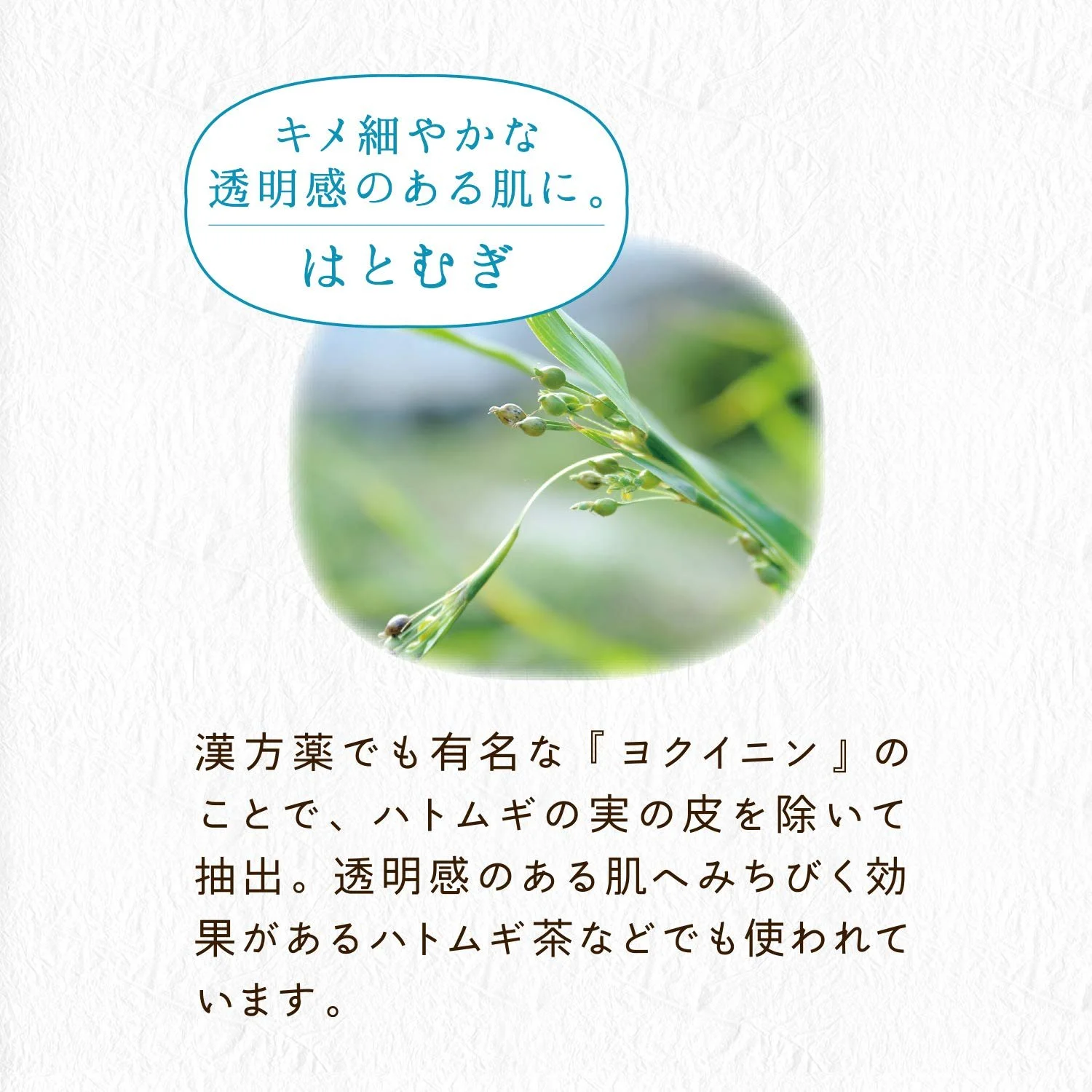 Маска для лица Kose Clear Turn Lustrous Skin Craftsman Seven Wheat ON, фото №3