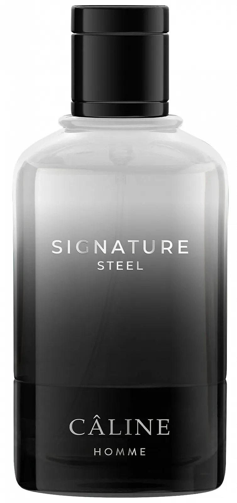 Туалетна вода Caline Homme Signature Steel 60 мл, фото №2 Туалетна вода Caline Homme Signature Steel 60 мл, фото №2