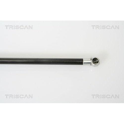 Газовая пружина багажника TRISCAN 8710 25230 для RENAULT сзади слева, фото №3 Газовая пружина багажника TRISCAN 8710 25230 для RENAULT сзади слева, фото №3