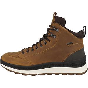 Чоловічі черевики Geox Spherica Actif X2 - Фото 1