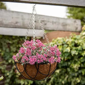 Вкладыш для подвесной корзины Esschert Design 10" (25 см) synthetic.ua - Фото 1