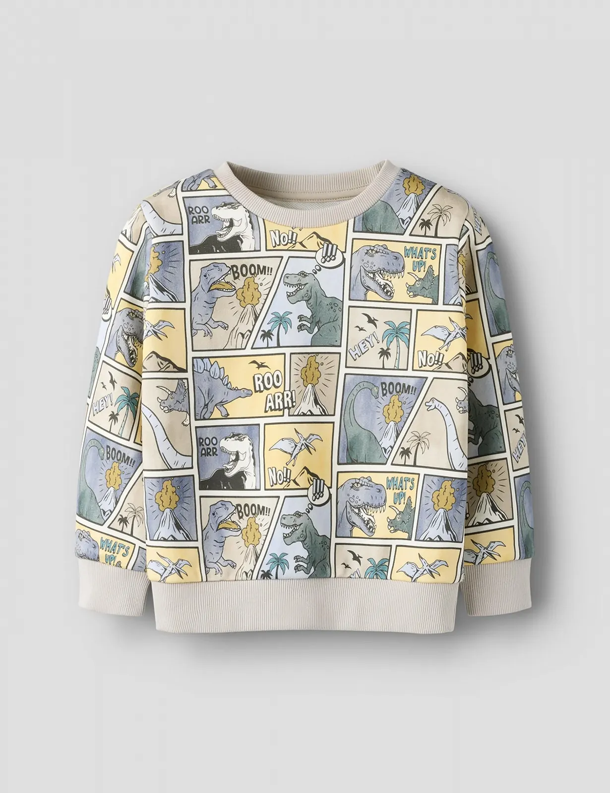 Толстовка Name IT Nmmsikalas LS Nreg SWE Bru, фото №2 Толстовка Name IT Nmmsikalas LS Nreg SWE Bru, фото №2