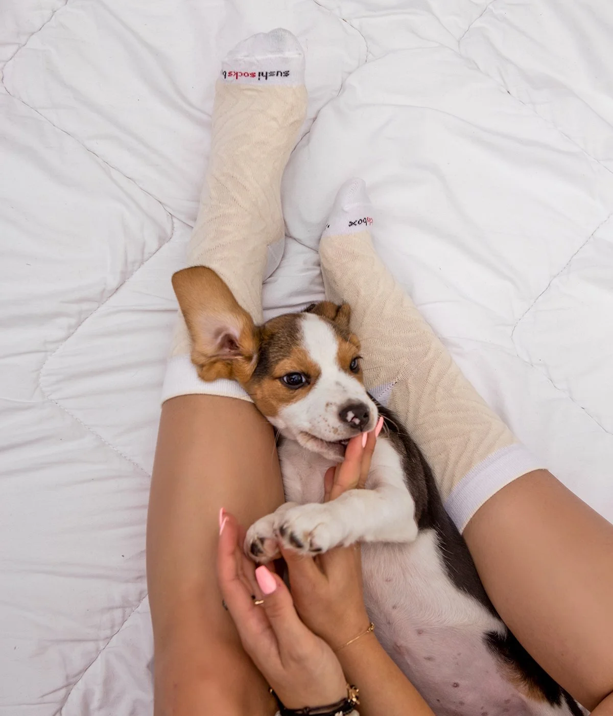 Носки Rainbow Socks Sushi Salmon Butterfish Tuna 2x Maki 5 пар, разноцветные, фото №7 Носки Rainbow Socks Sushi Salmon Butterfish Tuna 2x Maki 5 пар, разноцветные, фото №7