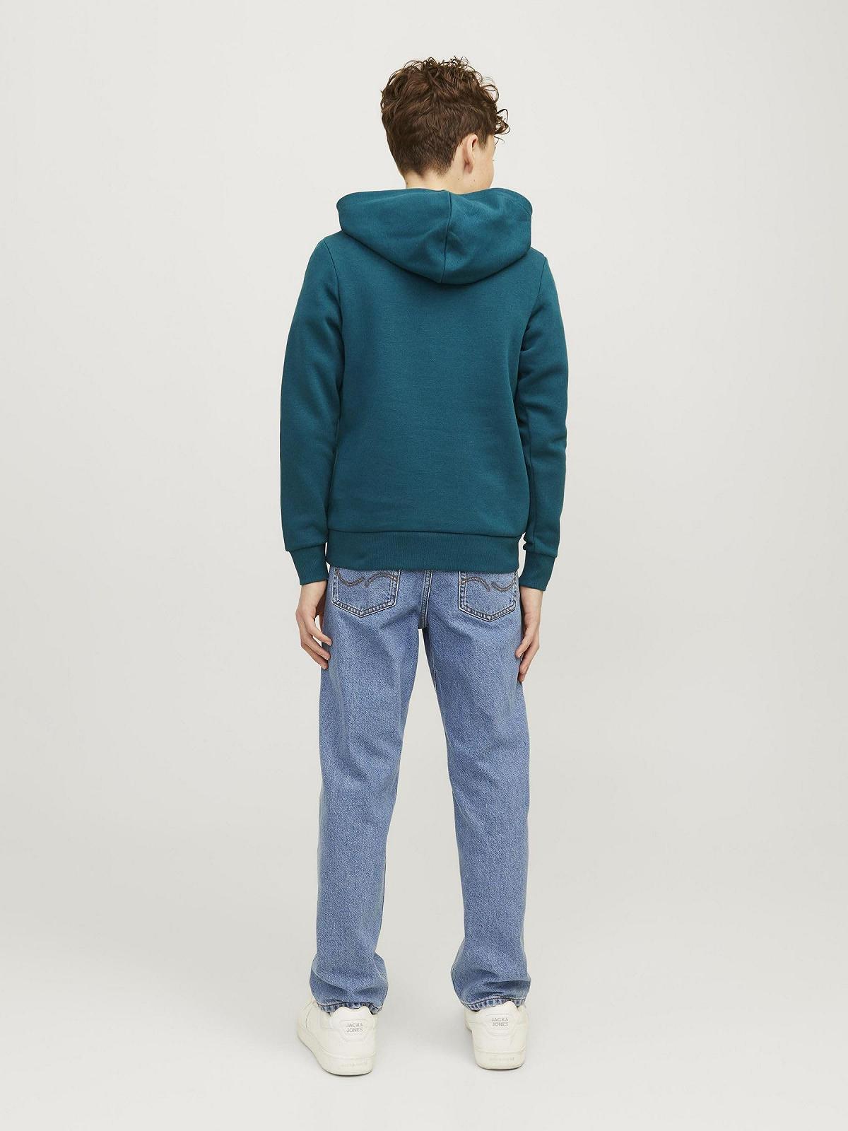 Худи JACK&JONES JUNIOR для мальчиков, фото №3