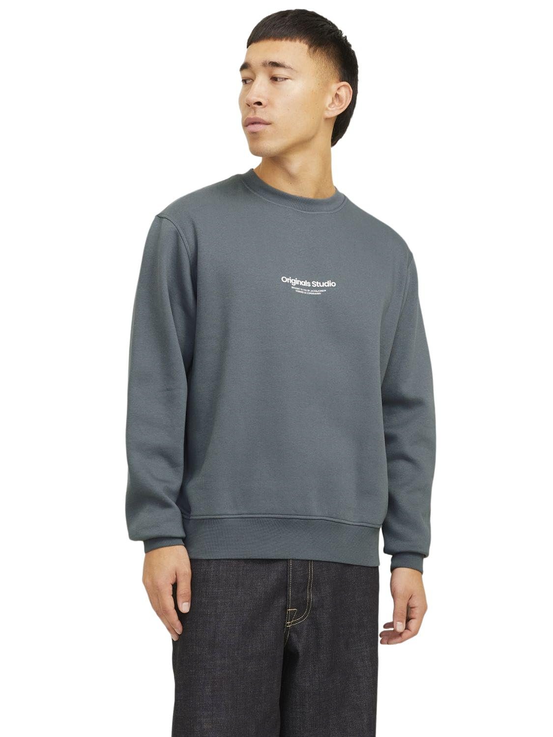 Світшот JACK & JONES Jorvesterbro Crew Neck Noos Чоловічий, фото №1