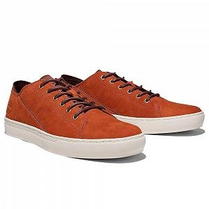 Кроссовки Timberland Adventure 2.0 Low Lace Up - Фото 1