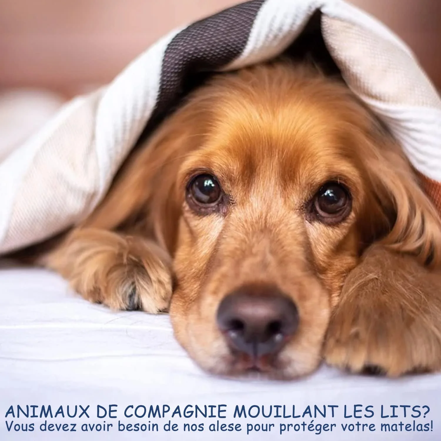 Водонепроникний наматрацник RICHAIR 140 x (190) 200 см Білий, фото №6 Водонепроникний наматрацник RICHAIR 140 x (190) 200 см Білий, фото №6