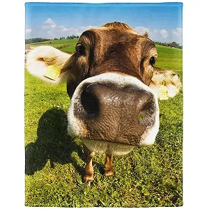 Покривало YISUMEI Фланель М'яка Флісова Покривало Накидка на ліжко Стара Коров'яча Ферма Корови 150 x 200 см - Фото 1