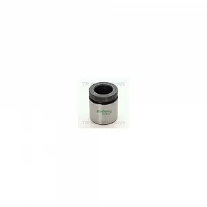 Поршень тормозного суппорта TRISCAN 8170 234219 - Фото 1