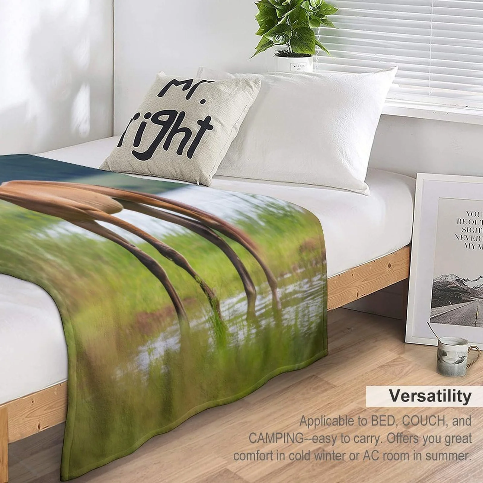 Одеяло Четыре сезона Плед Теплый Плед для дивана/кровати Фланель Мягкий и пушистый флисовый плед (100 x 130 см), фото №6