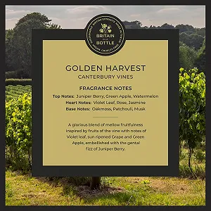 Лосьйон для рук NOBLE ISLE Golden Harvest Luxury 250 мл synthetic.ua - Фото 1