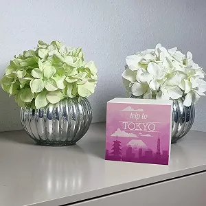 Скарбничка дерев'яна Trip to Tokyo з малюнком synthetic.ua - Фото 1