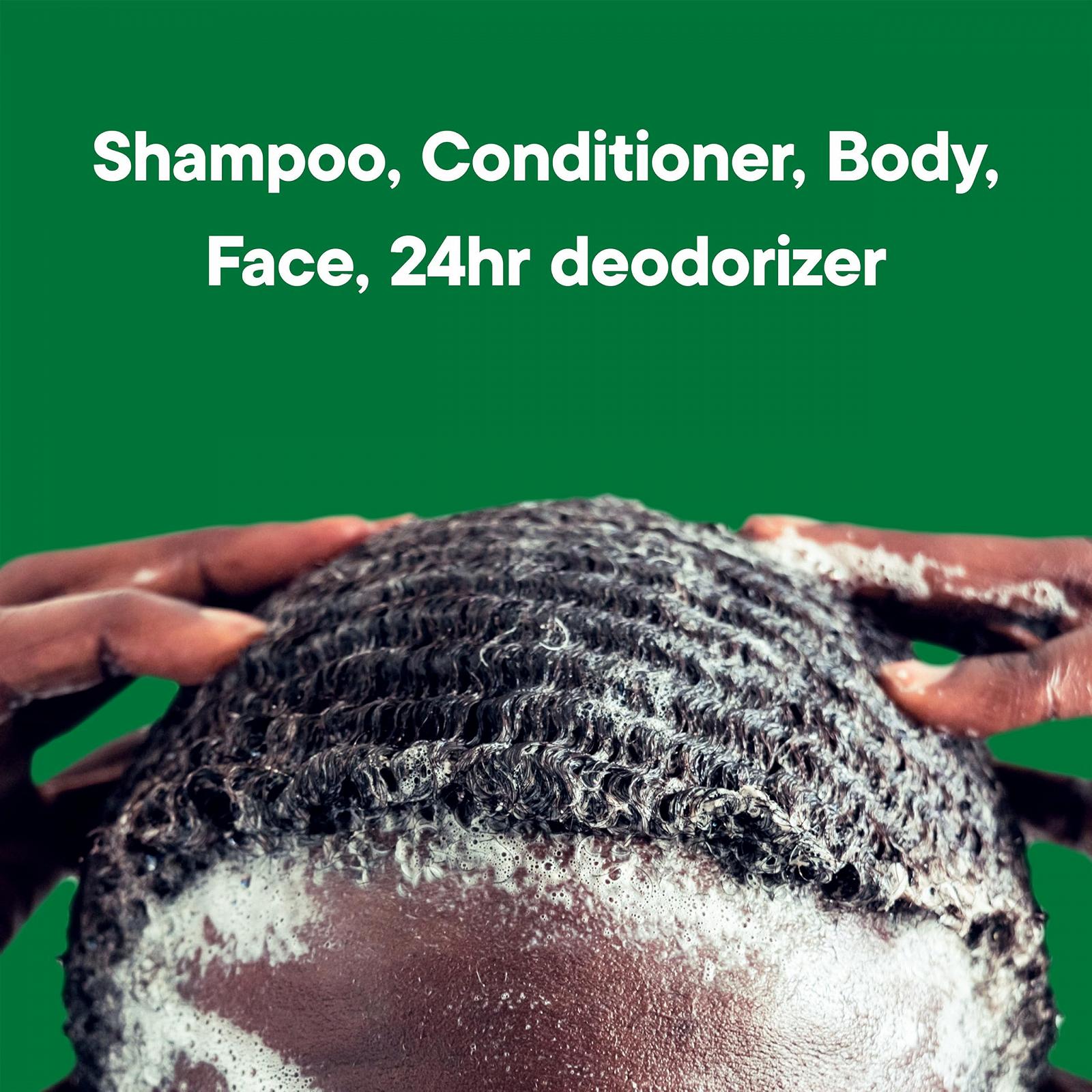 Гель для душу Irish Spring 5-in-1 Body Wash 30 oz (887 мл) з дозатором, фото №3 Гель для душу Irish Spring 5-in-1 Body Wash 30 oz (887 мл) з дозатором, фото №3